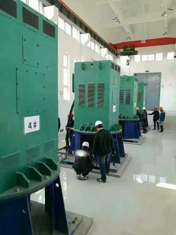 马村某污水处理厂使用我厂的立式高压电机安装现场