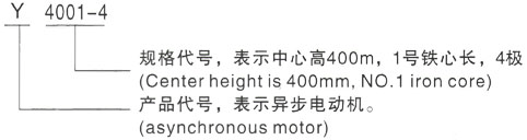 西安泰富西玛Y系列(H355-1000)高压马村三相异步电机型号说明